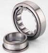 NJ204 Cylindrical Roller Bearing 20x47x14