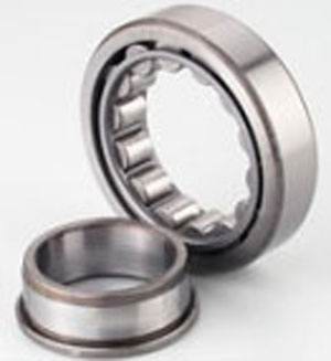 NJ204 Cylindrical Roller Bearings 20x47x14